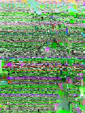 DouDou-- online show from 06/23/26, 02:37