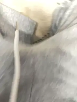 Snapshot of Bebun chatting on 01/17/26, 03:00 Bebun online show from 01/17/26, 03:00