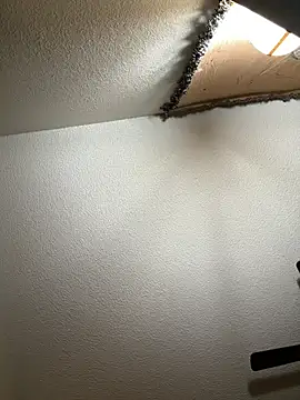 Snapshot of JoeyBlazy chatting on 01/12/26, 01:00 JoeyBlazy online show from 01/12/26, 01:00