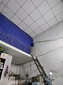 Famrita online show from 01/19/26, 01:31