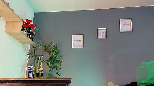 Snapshot of sofia_laverde chatting on 03/17/26, 07:06 sofia laverde online show from 03/17/26, 07:06