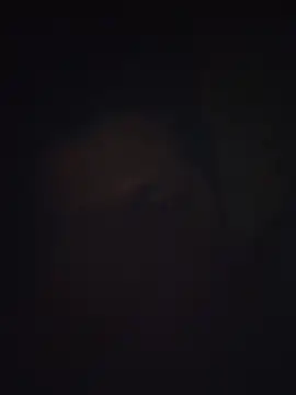 Snapshot of Pravin9562 chatting on 03/04/26, 07:09 Pravin9562 online show from 03/04/26, 07:09