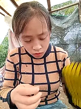 Snapshot of Hari-saka chatting on 02/24/26, 03:04 Hari-saka online show from 02/24/26, 03:04