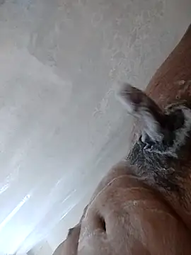 Snapshot of daringprince chatting on 01/17/26, 06:22 daringprince online show from 01/17/26, 06:22