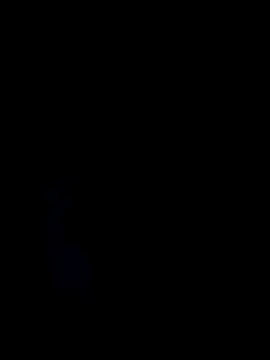 deshilnd online show from 05/04/26, 04:58