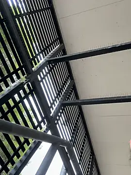 Snapshot of tyd247 chatting on 03/10/26, 04:17 tyd247 online show from 03/10/26, 04:17