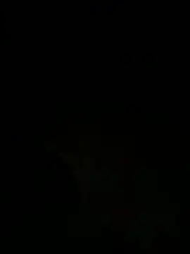 Snapshot of tyd247 chatting on 03/28/26, 03:11 tyd247 online show from 03/28/26, 03:11