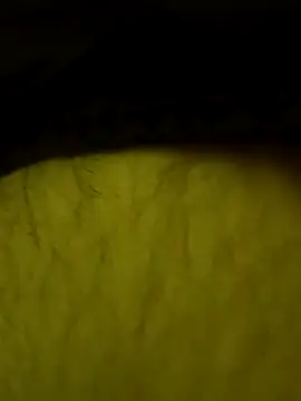 Snapshot of jajajaja322 chatting on 02/02/26, 09:24 jajajaja322 online show from 02/02/26, 09:24