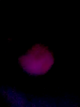 Snapshot of 061190 chatting on 03/22/26, 02:20 061190 online show from 03/22/26, 02:20