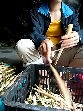 Hayaya11 online show from 03/17/26, 09:45