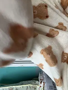 Snapshot of wjddjwjd chatting on 03/12/26, 08:20 wjddjwjd online show from 03/12/26, 08:20