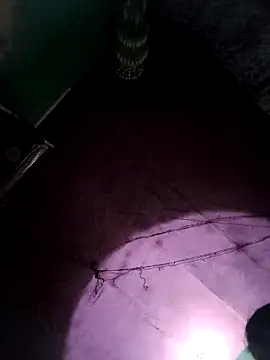 Snapshot of bhavna_pandit chatting on 02/17/26, 08:55 bhavna pandit online show from 02/17/26, 08:55