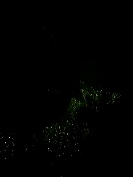 Priyakoli4568 online show from 05/06/26, 05:29