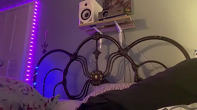 TrndSettr online show from 06/16/26, 04:37