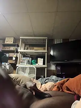 Snapshot of ProveYourLoyalty2 chatting on 03/19/26, 08:40 ProveYourLoyalty2 online show from 03/19/26, 08:40