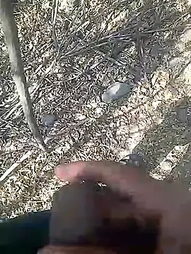 Snapshot of Cute_Boy_4 chatting on 02/23/26, 08:01 Cute Boy 4 online show from 02/23/26, 08:01