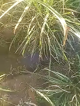 Snapshot of Cute_Boy_4 chatting on 02/27/26, 02:44 Cute Boy 4 online show from 02/27/26, 02:44