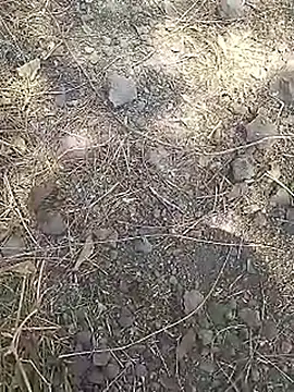 Snapshot of Cute_Boy_4 chatting on 03/15/26, 08:09 Cute Boy 4 online show from 03/15/26, 08:09