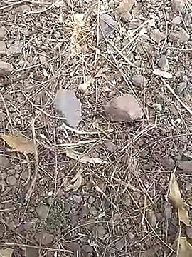 Snapshot of Cute_Boy_4 chatting on 03/19/26, 07:45 Cute Boy 4 online show from 03/19/26, 07:45