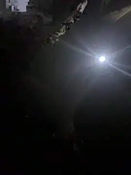 Snapshot of makemestayhard chatting on 03/06/26, 04:53 makemestayhard online show from 03/06/26, 04:53