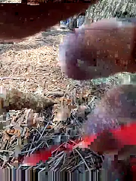 Luanatrav1 online show from 05/24/26, 11:37