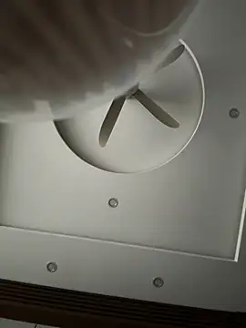 czamabe online show from 02/19/26, 10:00