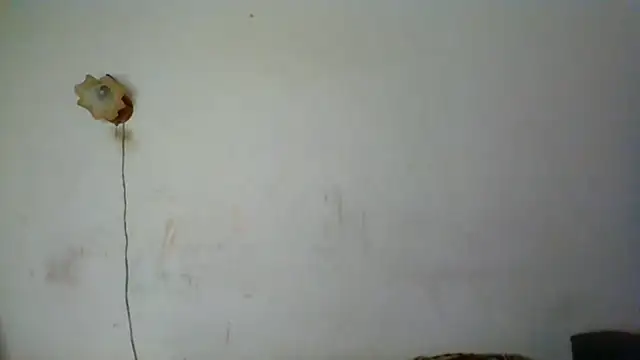 NickiKisinger online show from 05/16/26, 06:21