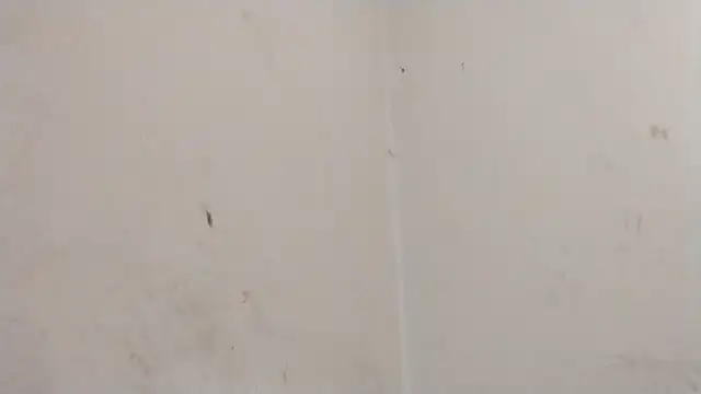 Snapshot of MisterSnowww chatting on 03/06/26, 09:55 MisterSnowww online show from 03/06/26, 09:55