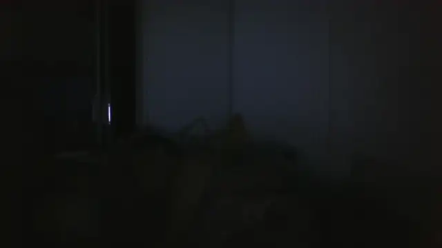 Snapshot of vitalik66679 chatting on 07/26/26, 06:37 vitalik66679 online show from 07/26/26, 06:37