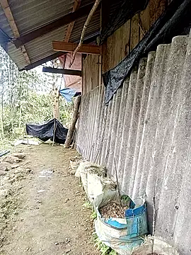 Anna 516 online show from 03/10/26, 05:45