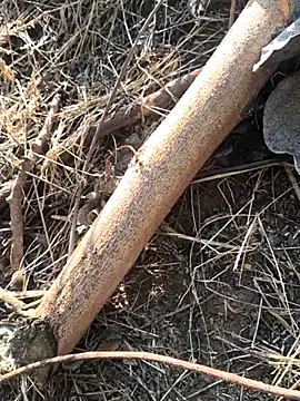 Snapshot of Vinita_cuty chatting on 02/09/26, 04:16 Vinita cuty online show from 02/09/26, 04:16