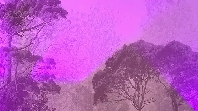 Elizabeth Ferrer online show from 03/16/26, 12:09