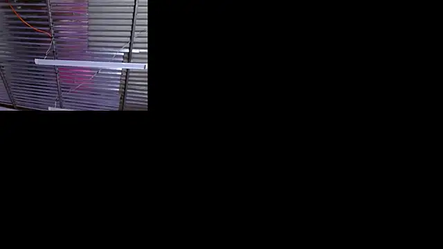Snapshot of sophi_and_coby chatting on 05/02/26, 05:12 sophi and coby online show from 05/02/26, 05:12