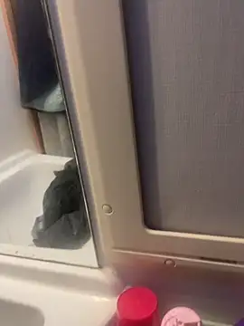 Snapshot of stallone_italiano_62 chatting on 02/26/26, 06:56 stallone italiano 62 online show from 02/26/26, 06:56