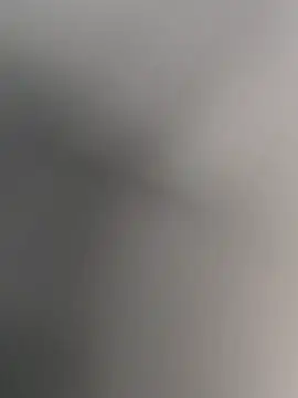 anitamadrid online show from 02/15/26, 02:36