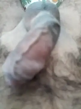 Love Sabby 700 online show from 04/28/26, 04:50