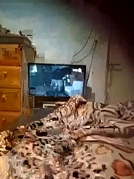 Snapshot of Morocha_exotica00 chatting on 03/21/26, 05:56 Morocha exotica00 online show from 03/21/26, 05:56