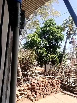 Snapshot of taniya0 chatting on 03/13/26, 06:31 taniya0 online show from 03/13/26, 06:31