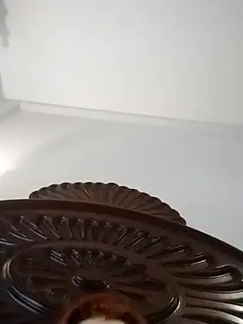 Snapshot of fegostosa12 chatting on 03/11/26, 09:37 fegostosa12 online show from 03/11/26, 09:37