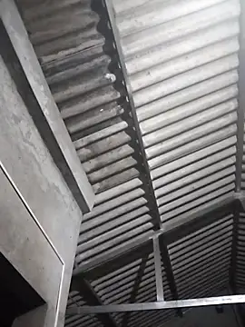 Baby flower 1 online show from 03/17/26, 05:00