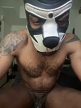 Snapshot of Kingbroxxx chatting on 04/09/26, 01:16 Kingbroxxx online show from 04/09/26, 01:16