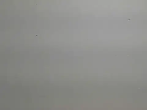 Snapshot of risu_00 chatting on 03/06/26, 03:30 risu 00 online show from 03/06/26, 03:30