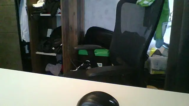 Snapshot of Geileboef28 chatting on 03/07/26, 03:53 Geileboef28 online show from 03/07/26, 03:53