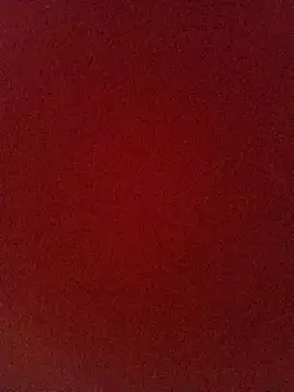 Snapshot of Felipe244907 chatting on 04/08/26, 07:36 Felipe244907 online show from 04/08/26, 07:36