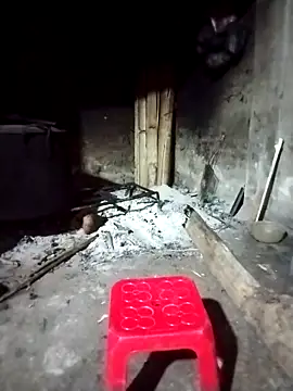 Snapshot of ngocbao11 chatting on 03/01/26, 12:12 ngocbao11 online show from 03/01/26, 12:12