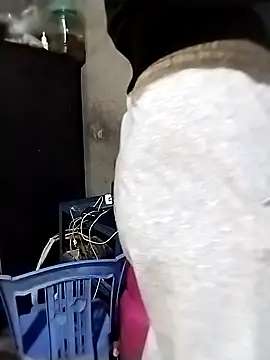 Snapshot of ngocbao11 chatting on 03/16/26, 04:29 ngocbao11 online show from 03/16/26, 04:29