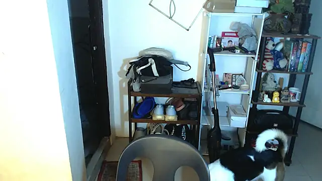 Snapshot of sweetasian_zoe chatting on 05/02/26, 04:12 sweetasian zoe online show from 05/02/26, 04:12