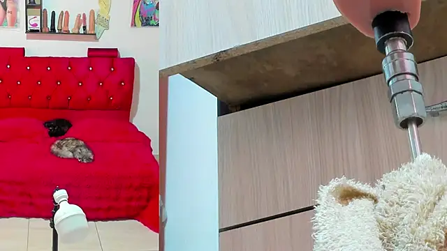 bella  funny online show from 05/13/26, 06:05