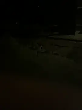 Snapshot of princessandthefootjob chatting on 03/31/26, 04:35 princessandthefootjob online show from 03/31/26, 04:35