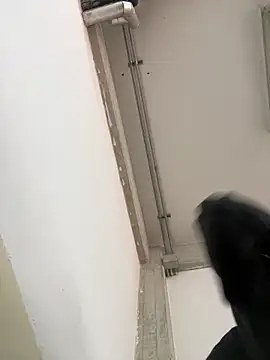 Snapshot of Stickmendez chatting on 03/12/26, 04:57 Stickmendez online show from 03/12/26, 04:57